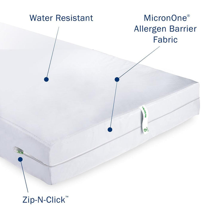 mattress encasement for bed bugs